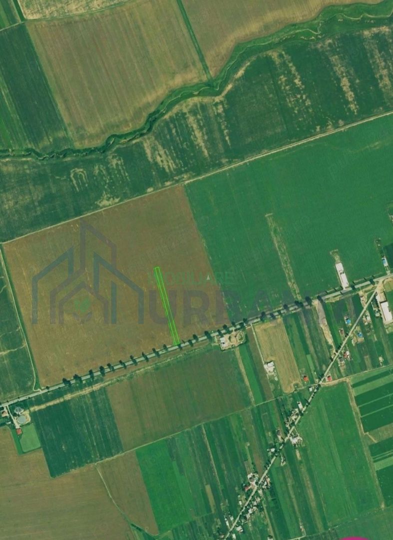 Teren de vânzare în Pașcani, 6000 mp, cu deschidere la Drumul Național - Poză 2