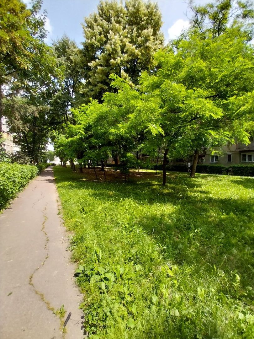 BRASADAS vinde ap 2 cam et.1/4 mobilat utilat cu garaj. - Poză 8