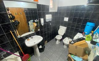 OPORTUNITATE INVESTITIE! Casa Buziasului - Poză 18