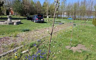 Teren Intravilan | 1150 mp | Săliște - Poză 7