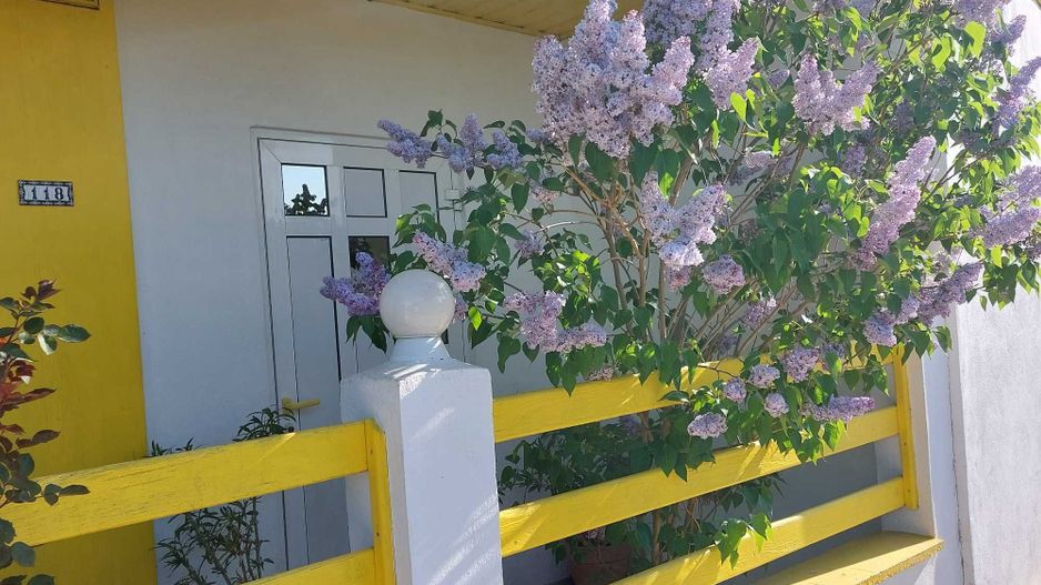 Vila cu ponton de inchiriat | Lacul Snagov - Poză 4