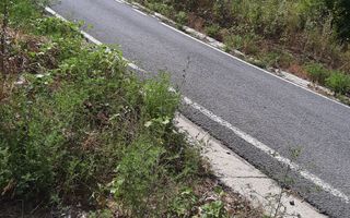 Teren 10.000 mp în Tomesti, zona Vladiceni – oportunitate de investiție - Poză 3