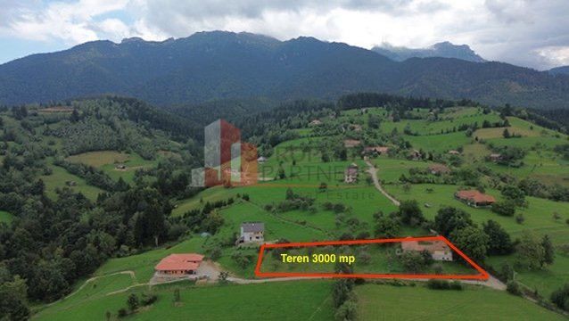 Teren intravilan 3.000 mp cu casă tradițională – Bran, sat Poarta - Poză 11