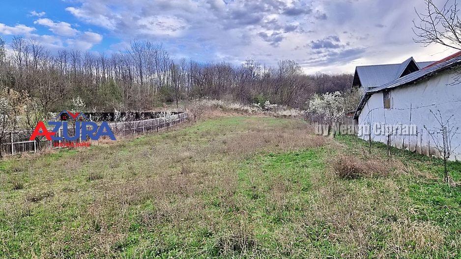 AZURA Imobiliare - Teren Babana Central Primarie - Poză 4