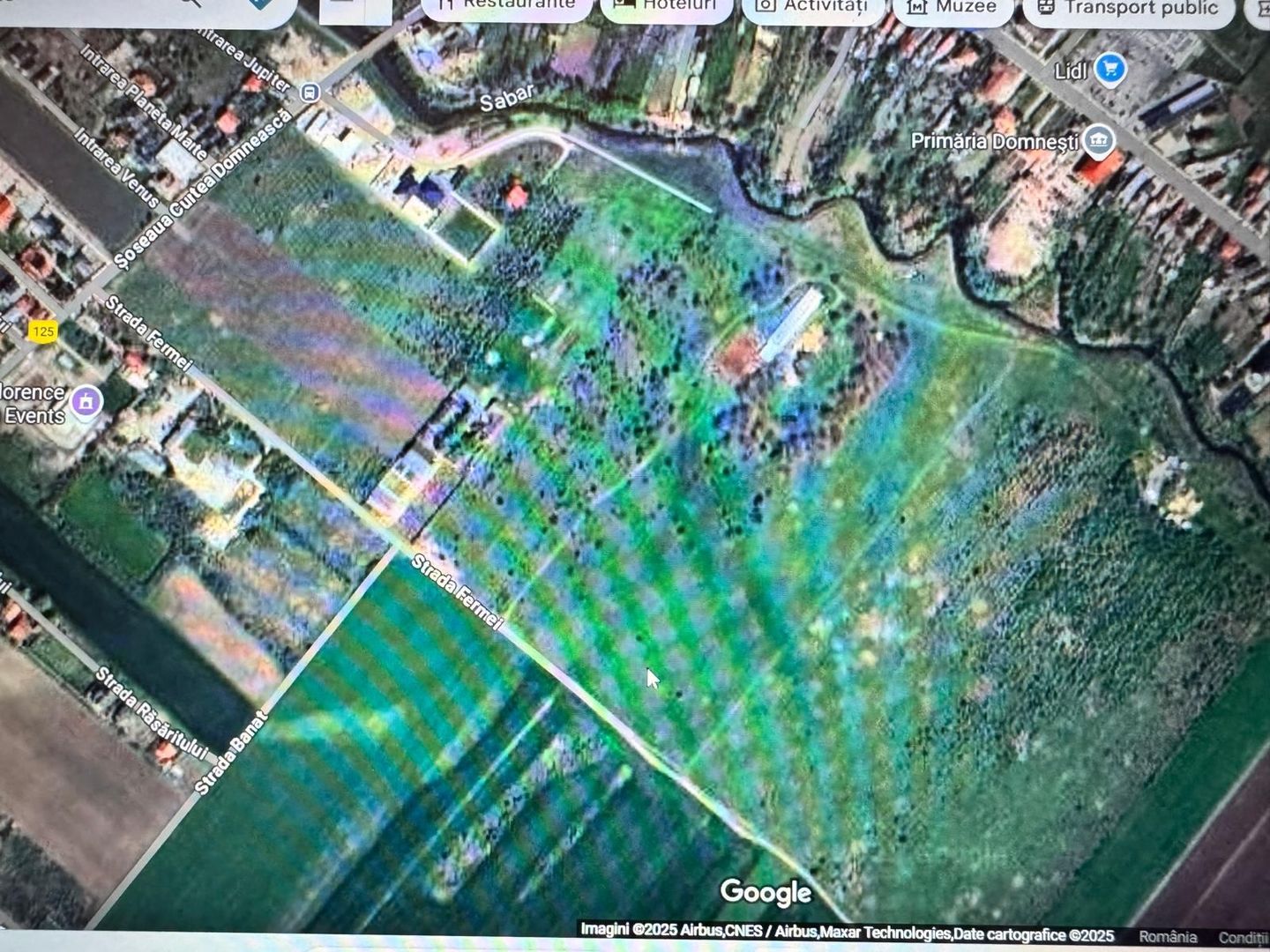 Teren de vanzare 12.700 mp Domnesti Curtea Domneasca - Poză 3