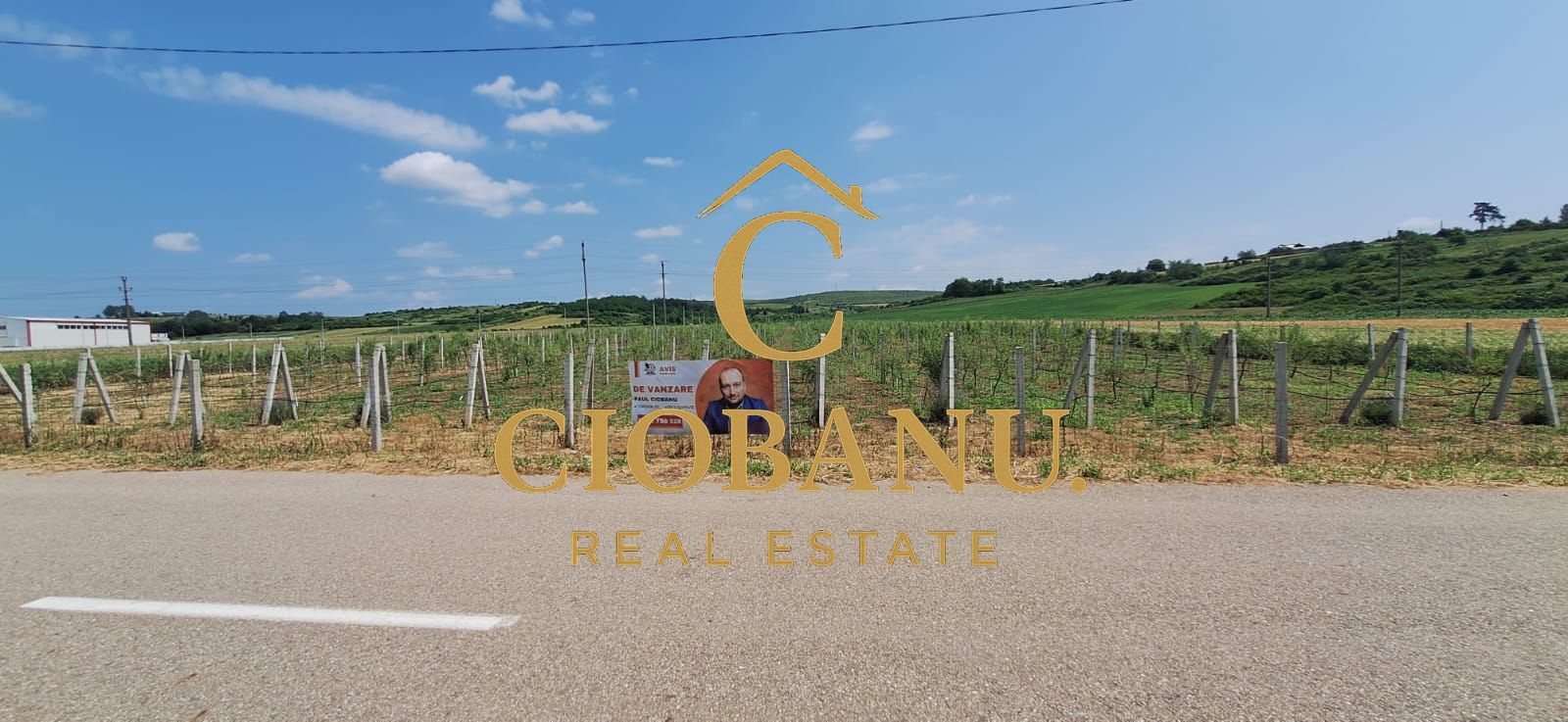 Teren intravilan cu PLANTATIE DE GOJII de vanzare in Racari - Poză 1