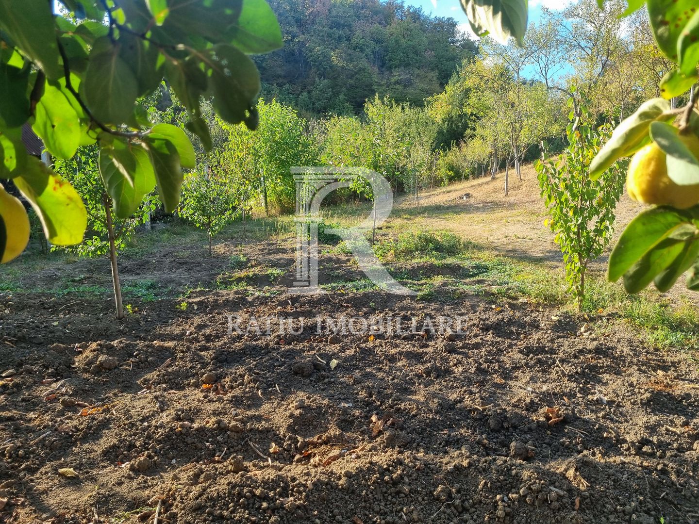 Casă renovata cu teren generos | Anexe | Gurasada | Hunedoara - Poză 43