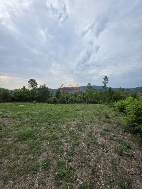 Teren Intravilan, utilitati in zona, 2600 mp, Draganeasa, Prahova - Poză 3