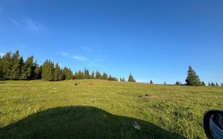 50 hectare teren | Moldova-Sulita | Potential turistic si agricol - Poză 2