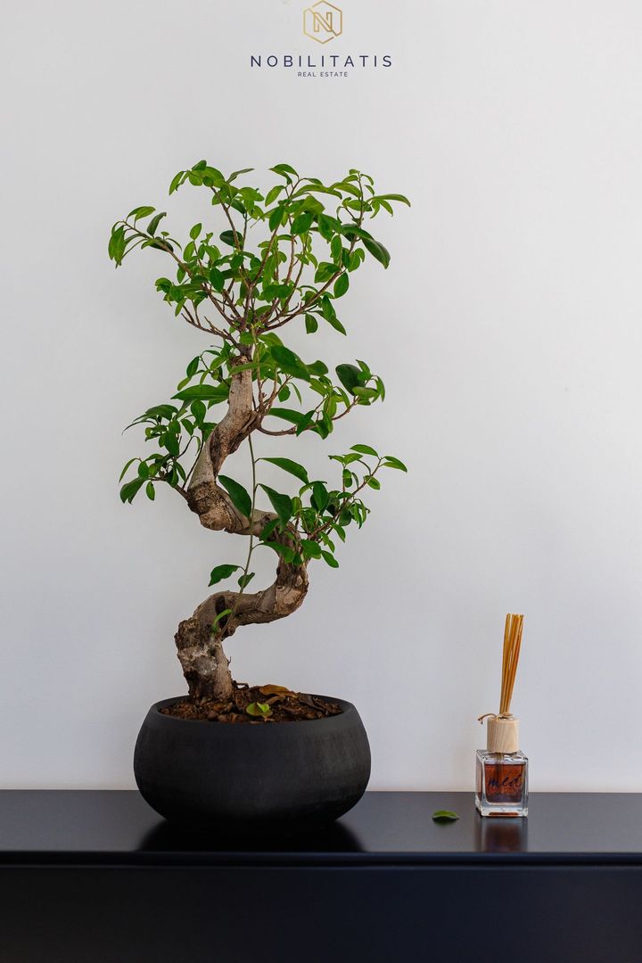 Apartament de Lux cu 3 Camere & Curte Privată de 212 mp în Timișoara - Poză 28