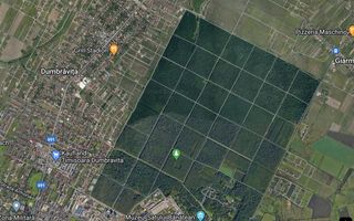 Teren la Padurea Verde in Dumbravita - Poză 1