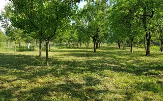 Teren cu utilități 2052 mp - Oradea - str. Făgetului - Poză 17