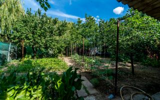 Casa 3 camere, bucatarie si baie, in zona centrala din Chisineu-Cris - Poză 8