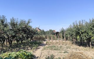 Casa la tara in Sacadat, Bihor, teren 2826 mp, acces auto - Vanzare - Poză 17