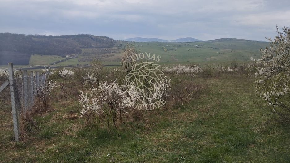 Teren 2100 mp-ideal casa de vacanta, investitie-Budacu de Jos - Poză 3