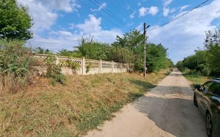 Casa + Teren 13.000 mp - Cervenia - Teleorman - Poză 9