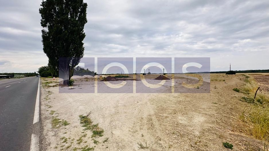 TEREN DE VANZARE CREVEDIA-COCANI 10.000 MP DESCHIDERE 70 - Poză 5