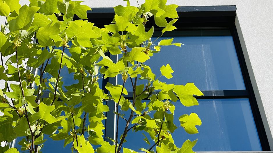 Design Ultramodern | Pompa de caldura | 131 mp, 4 bai | Langa Padure - Poză 11