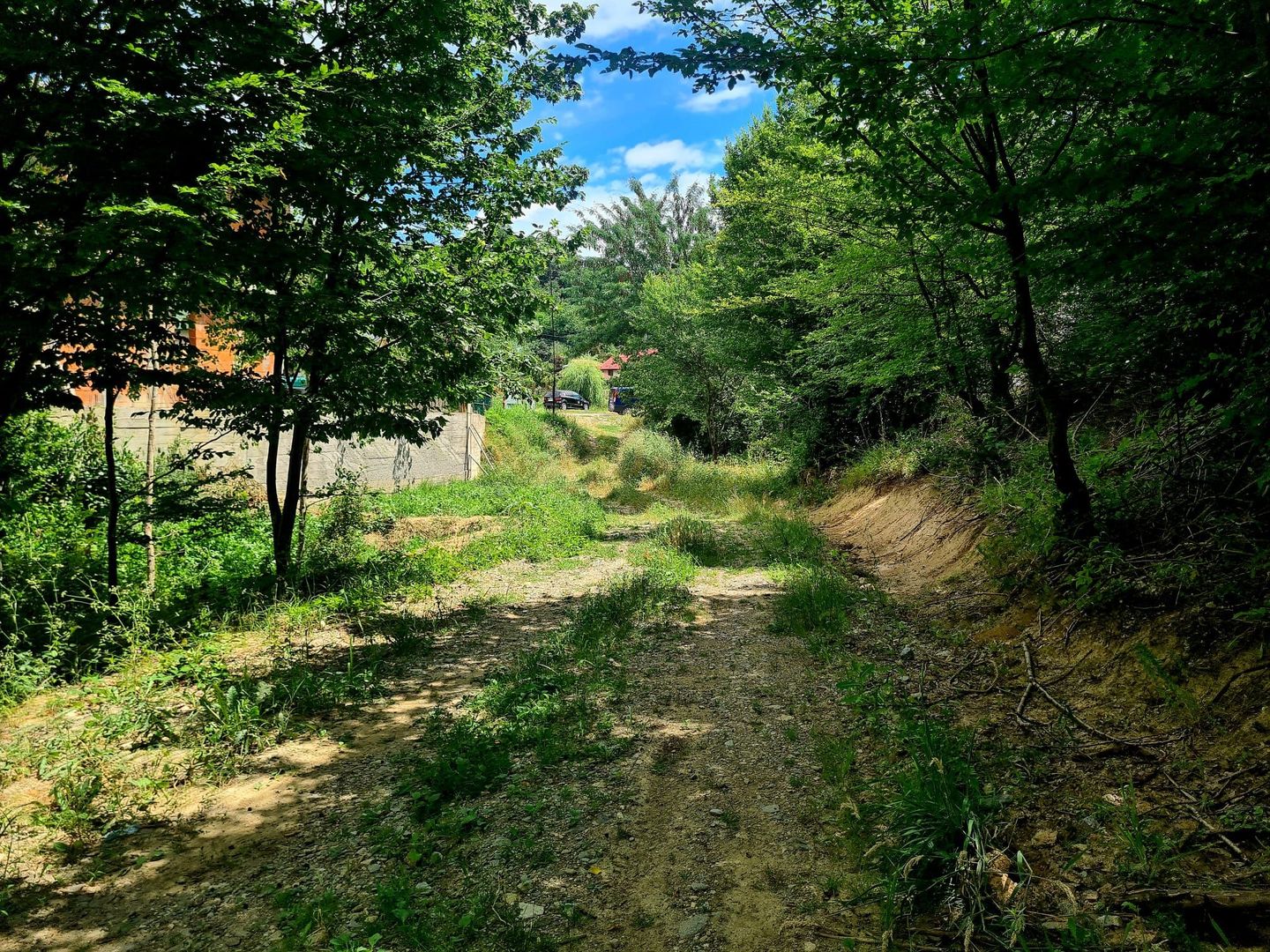 Teren intravilan 9500 mp - Poză 1