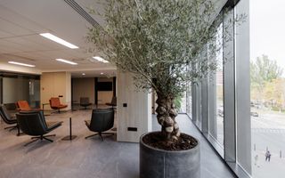 Chirie, oficiu, 140 mp, bulevardul Ștefan cel Mare și Sfânt, Centru - Poză 41