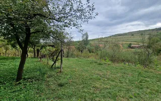 Casa individuala | 120 mp | 1342 mp teren | Livada | Cetea - Poză 11