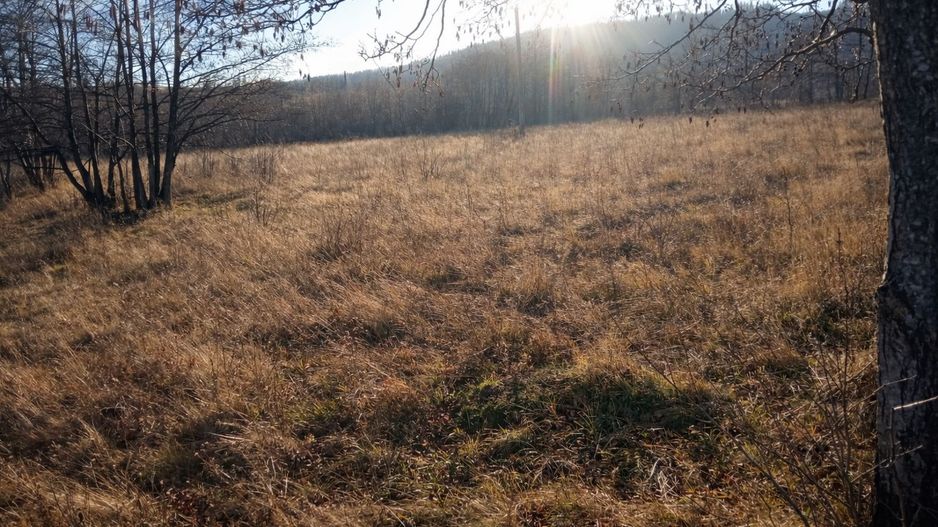 Teren extravilan | Vicovu de Jos | Preț 27.000 | Negociabil - Poză 6