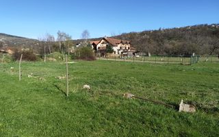 Teren | Intravilan | 550 MP | Sibiel - Poză 4