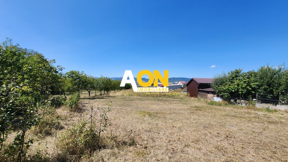 De vanzare teren 10.651mp intravilan, parcelabil, Oarda de Sus - Poză 4