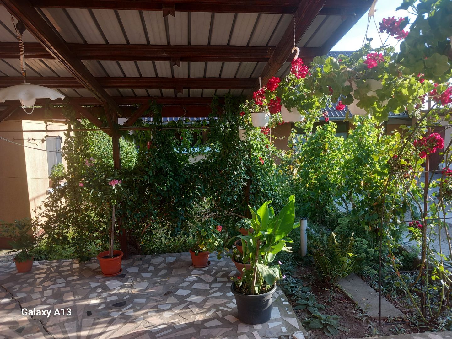 Ag EUROPA vinde casa NOUA individuala în Madaras 4 cam 7 ari 175mp. - Poză 34