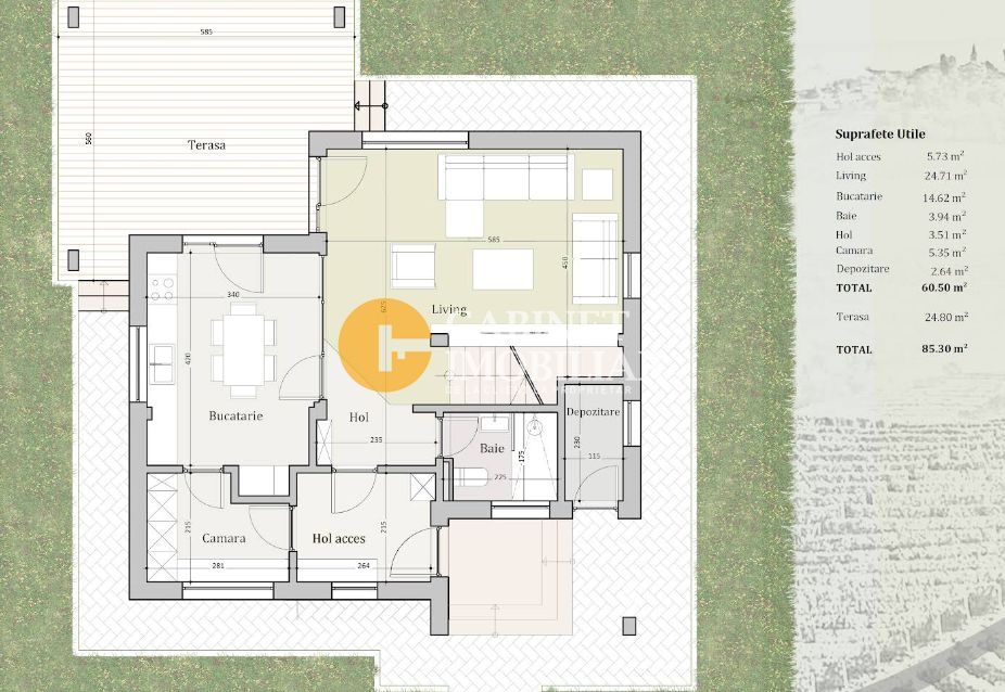 Vila individuala Visani - complet mobilata PREMIUM - Poză 8