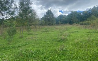 TEREN INTRAVILAN CAMPULUNG FORMAT DIN 4 LOTURI - Poză 3