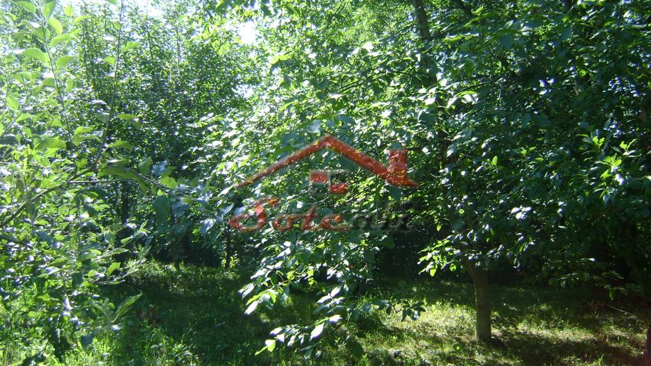 Teren de vânzare în Breaza– zonă liniștită, ideal pentru relaxare - Poză 12