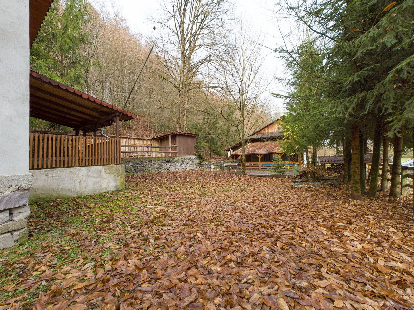 Casă de vacanța în Rădești jud.Arad - Poză 17