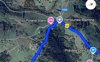 Oportunitate Investitie | Teren Pestera | 4.649mp | Utilitati Gaz/Curent | PUZ - Poză 10