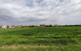 Intravilan pozitie excelenta - 15 minute de capitala - Poză 2