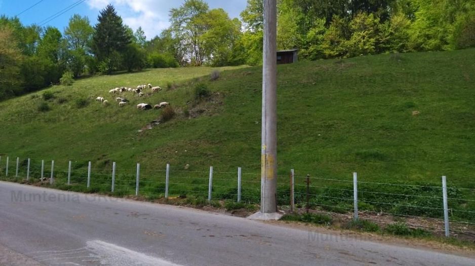 NAMAESTI - Valea Mare Pravat, 7000 mp. teren intravilan, ideal locuinta - Poză 2