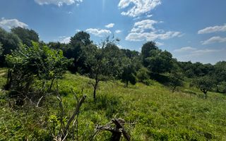 TEREN INTRAVILAN 2146 MP, ALBESTII DE MUSCEL, ARGES - Poză 7