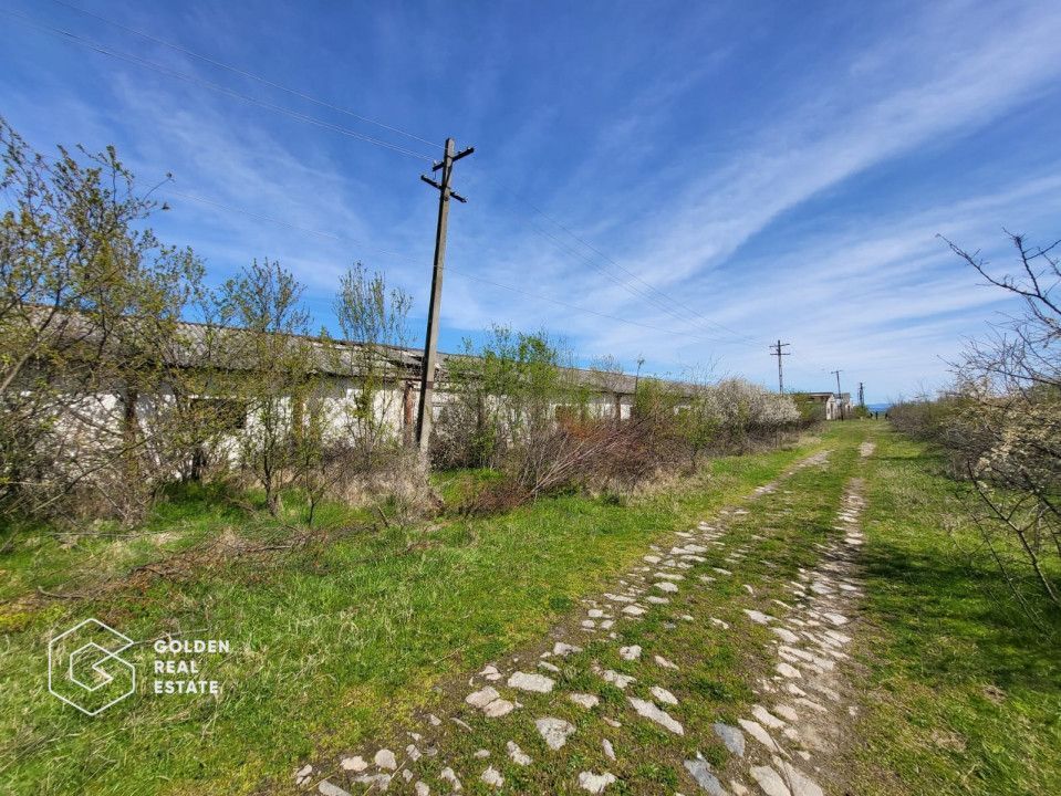 Teren extravilan, 22.5 ha, comuna Maureni - Poză 4