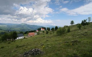 Teren Rogojel 15.000MP 8 EURO/MP - Poză 2