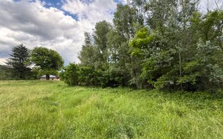 Teren plat-intravilan -3800 mp, cu pădurice și ieșire la râu! - Poză 10