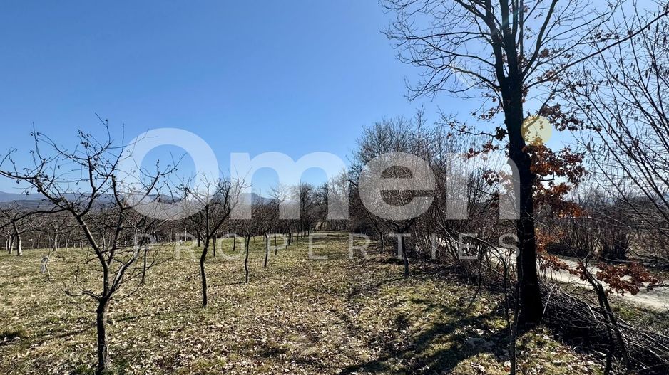 Teren intravilan | Berința | 5800 mp - Poză 3