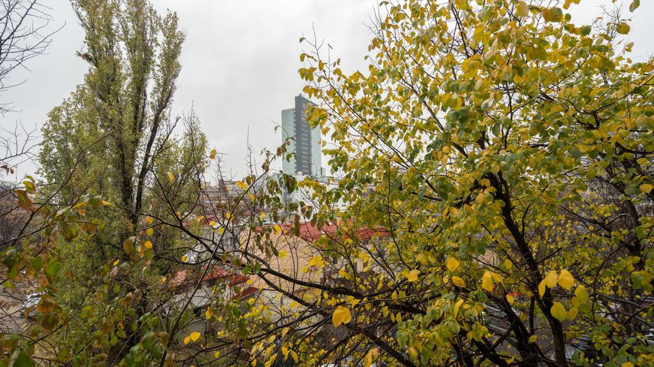 COMISION 0% - Apartament 2 camere decomandat sos. Titulescu - Piata Victoriei - Poză 5
