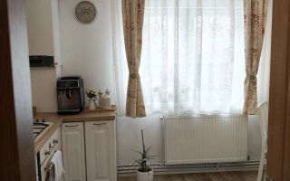 Apartament 2 camere | Parter | 60 MPU | Renovat | Terezian - Poză 4