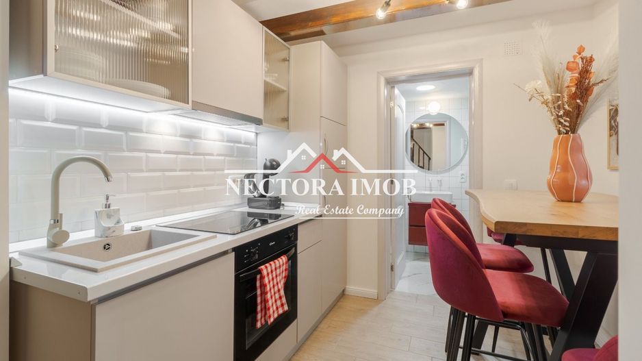 NECTORA IMOB-Casa Ultracentrala Teatru/Piata Unirii, Mobilata/Utilata - Poză 18