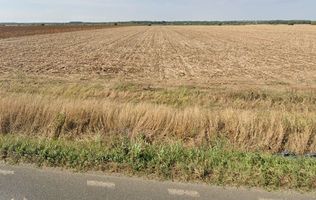 Cel mai bun pret! 1.5 ha, lot teren localitatea Nuci, Ilfov