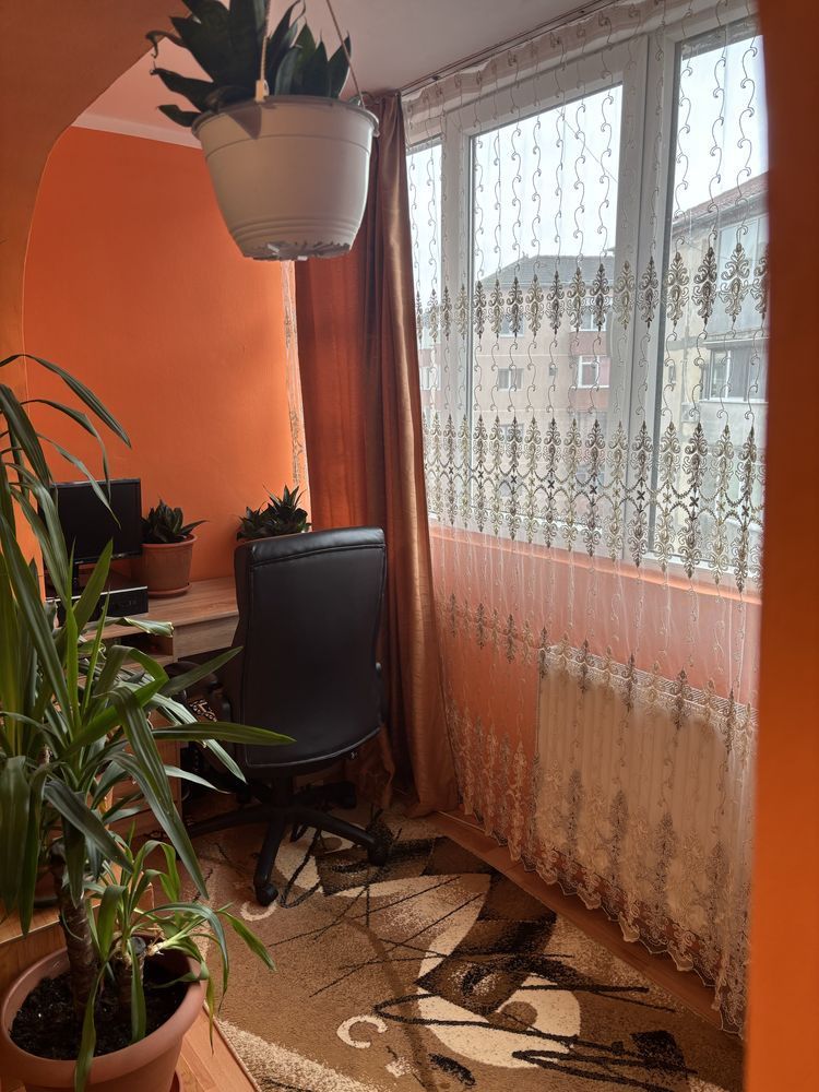 Apartament 1 Camera Calea Buziasului - Poză 3