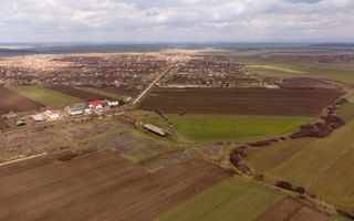 Fermă cu teren intravilan de 35000 mp în Mișca - Poză 6