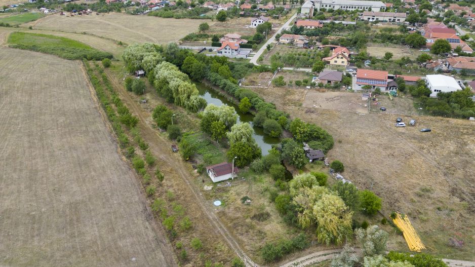 Teren de 7900 mp cu baltă de pescuit în Frumușeni - Poză 6