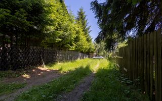 Descoperă Paradisul Montan din Moieciu de Jos! - Poză 32