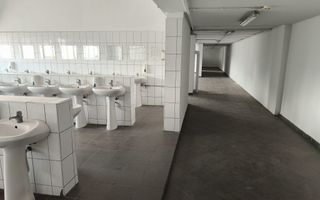 Hala industriala Brasov,zona Astra - Poză 9